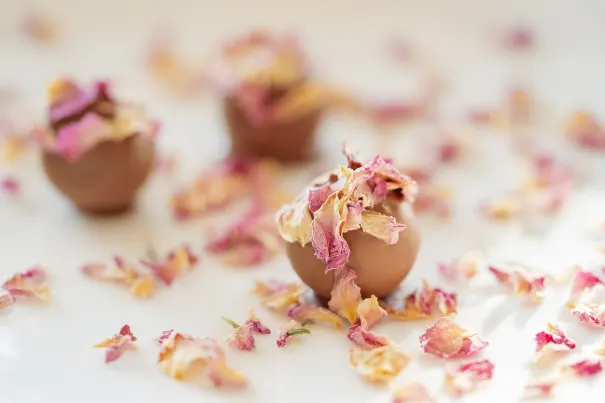 Andromeda Kazino Android/iOS programa